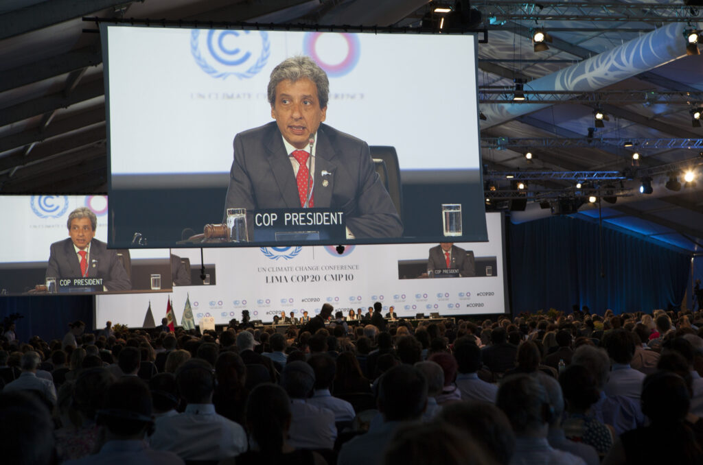 cop20-plenariafinal