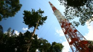 Torre ATTO, no Amazonas