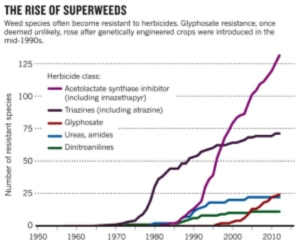 superweed